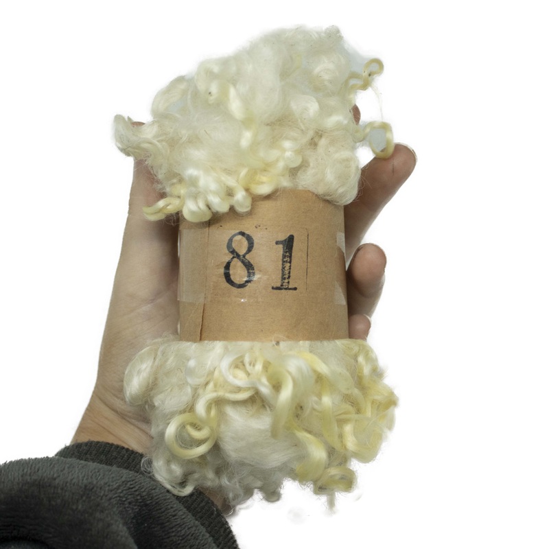 Premium Cream Wensleydale Wool Locks (81) | Natural Cream with Golden Tips | 50g