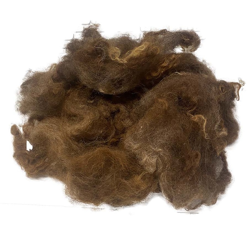 HandWashed Brown Sheep Fleece with Highlights(98) | 28g