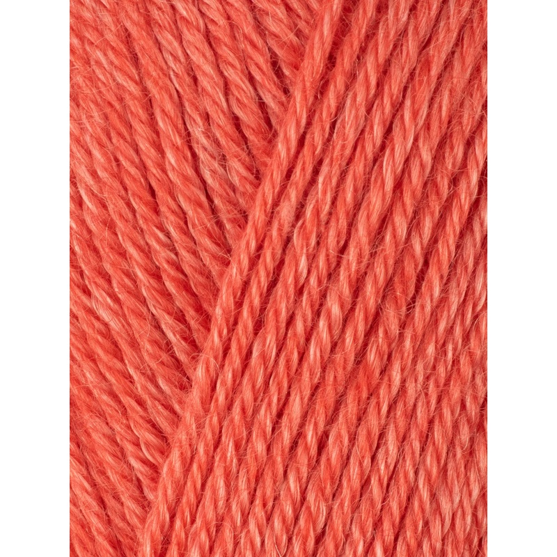 Elements DK – Watermelon