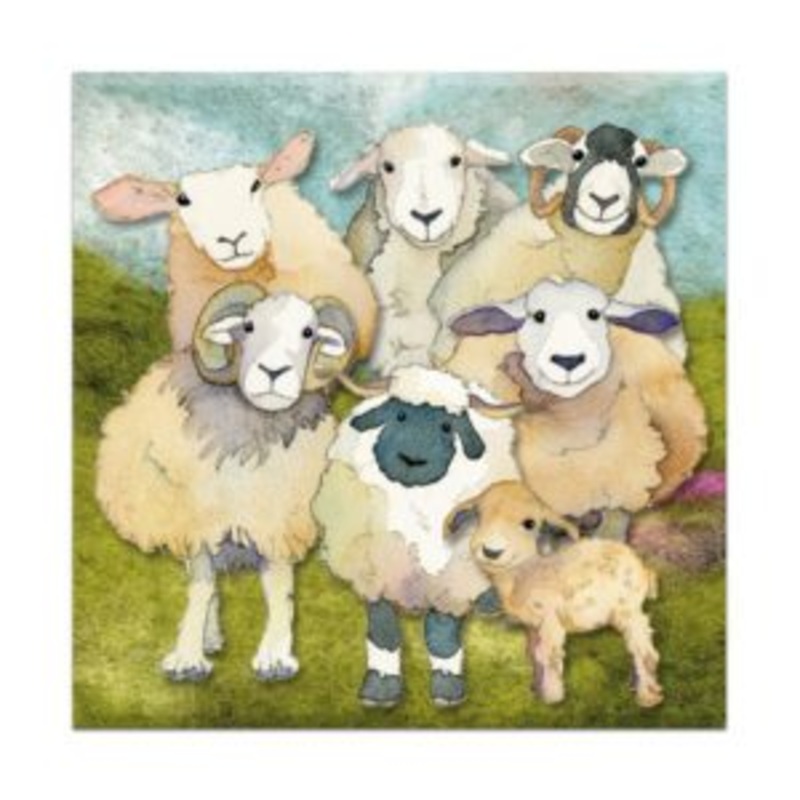 Emma Ball – Magnets|Alpacas & Friends|Felted Sheep|Highland Coos|Sheep in Sweaters|Woolly Puffins