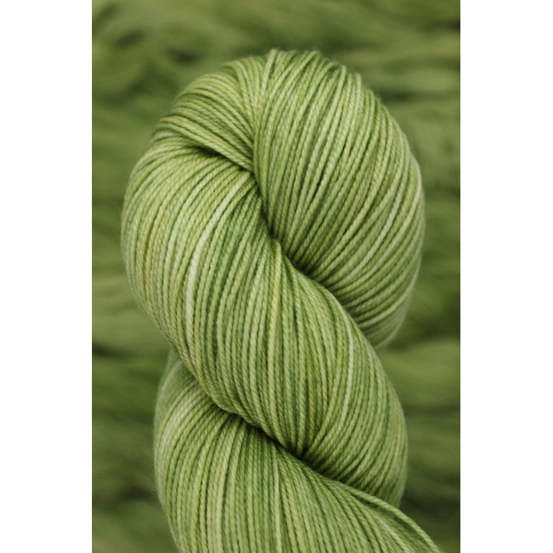 Don’t Forget the Lichens – Merino 4ply