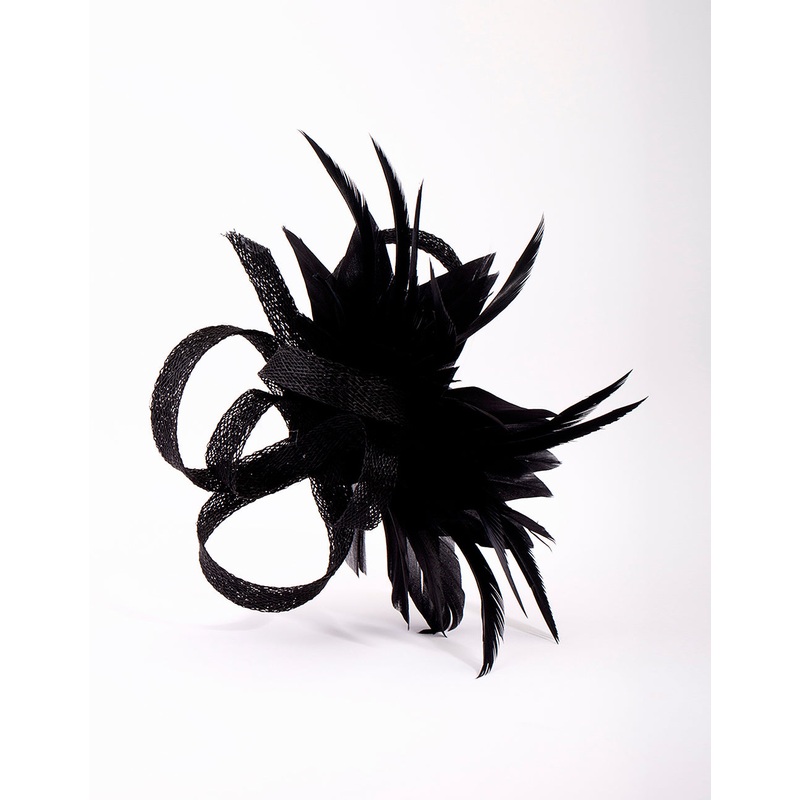 Black Feather Clip