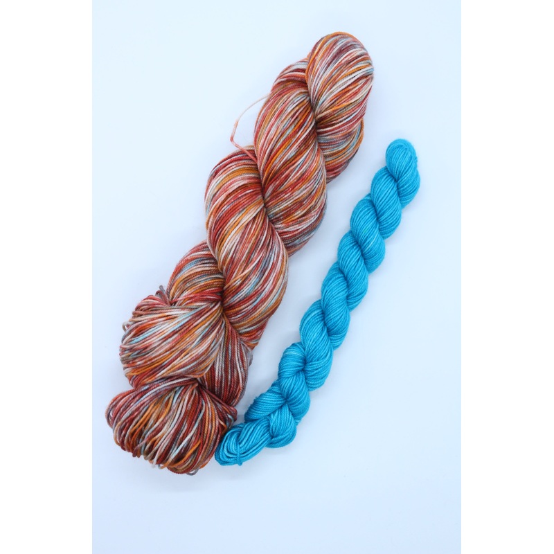 The Golden Swim + Perpetual Paradise Sock Pack