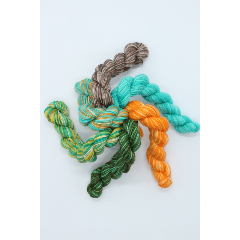 Best Before Mini Skein Pack – 4ply x 6