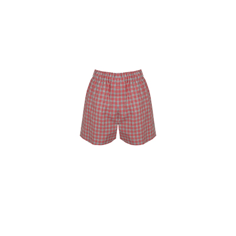 IDA SHORT BLUE RASPBERRY TARTAN