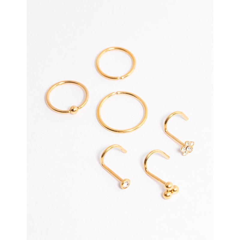 Gold Plated Titanium Ring & Hook Nose 6-Pack