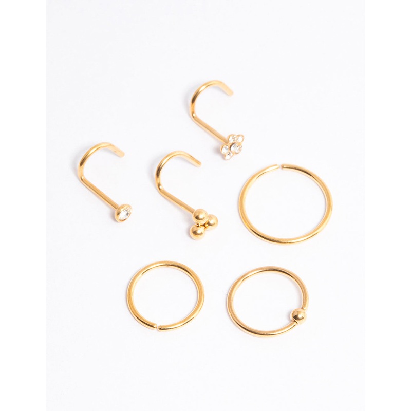 Gold Plated Titanium Ring & Hook Nose 6-Pack