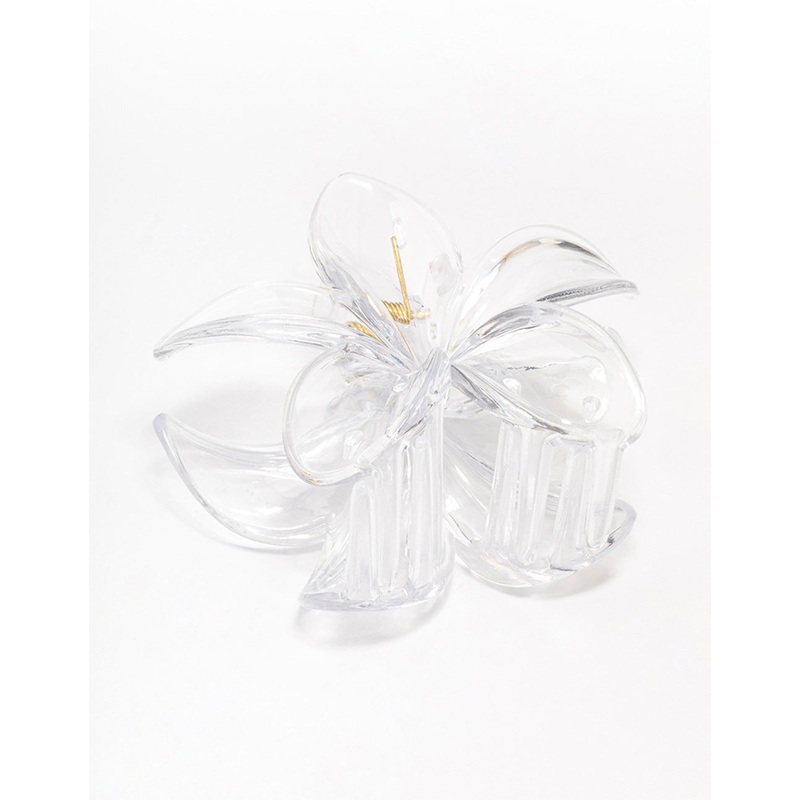 Clear Transparent Tropical Hair Claw Clip