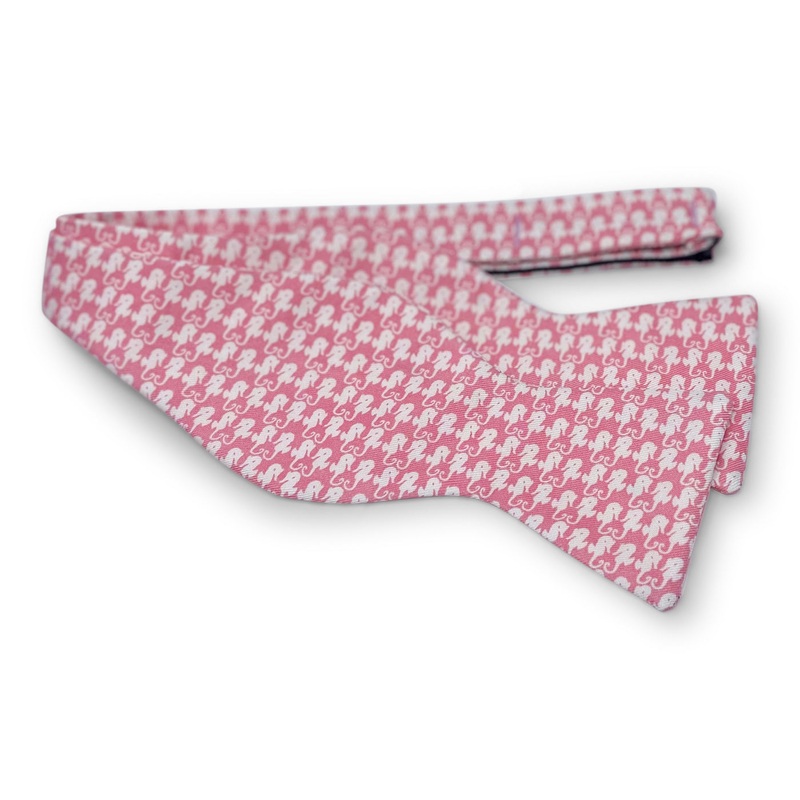 Sand Key Seahorse: Bow – Coral