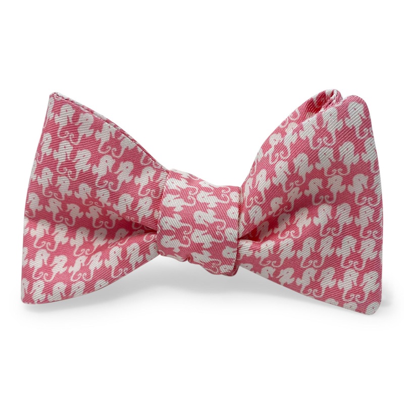 Sand Key Seahorse: Bow – Coral