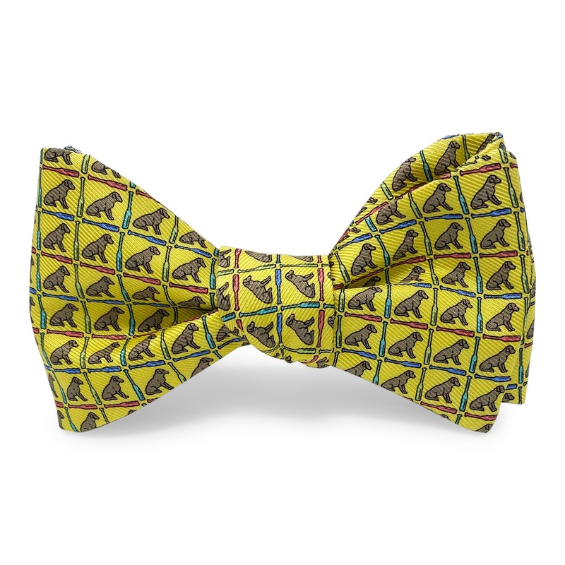 Dog Paddle: Bow – Yellow