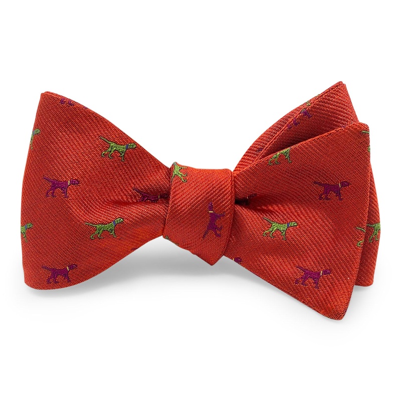 Pointer Parade: Bow – Orange