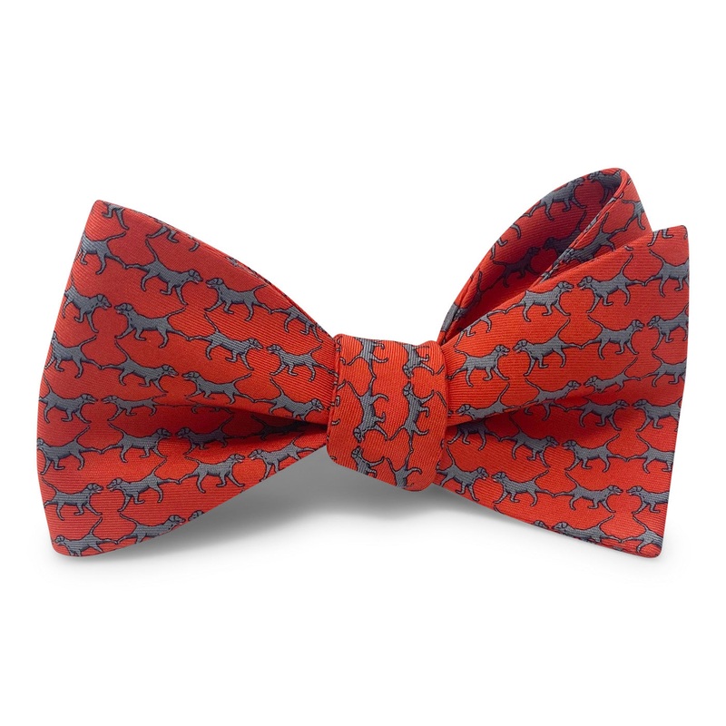 Retriever: Bow – Red