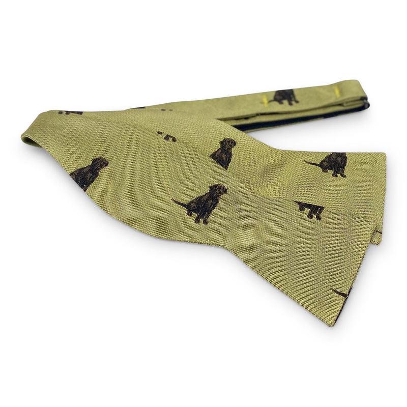 Resting Up: Bow – Yellow