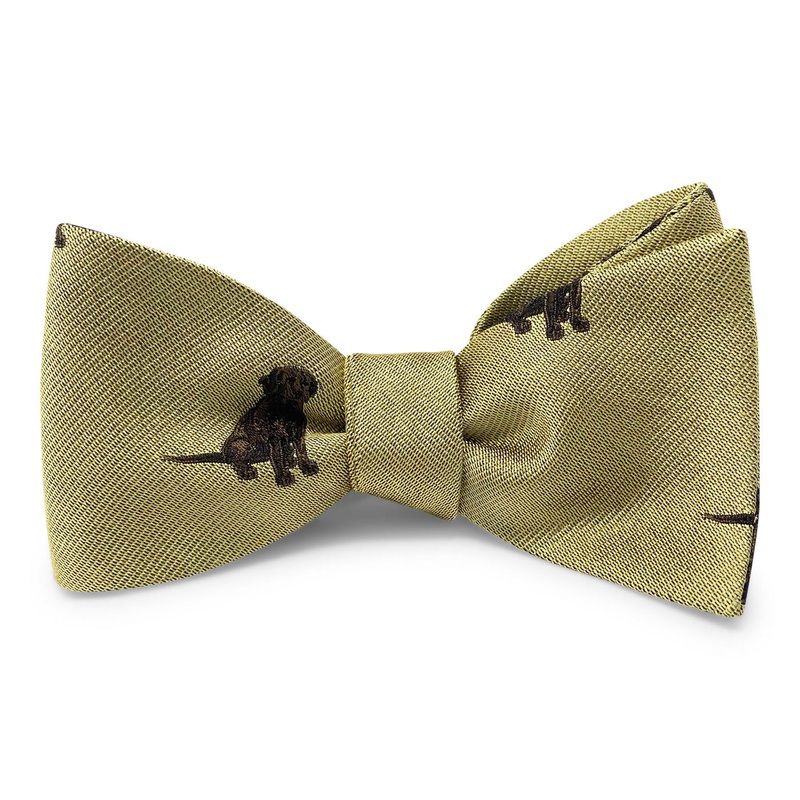 Resting Up: Bow – Yellow