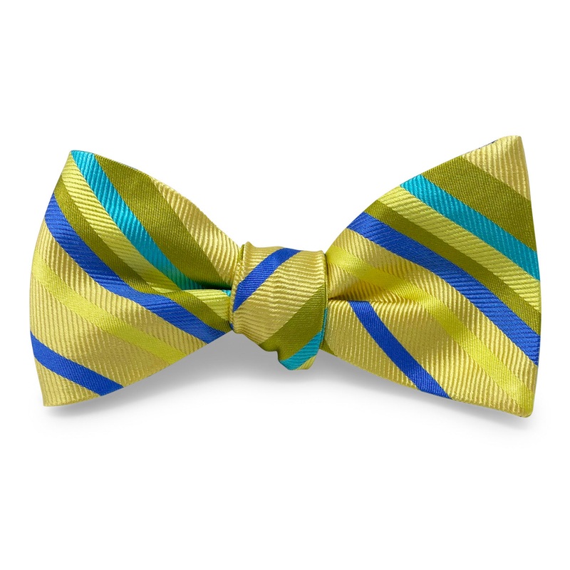 Baja: Bow – Yellow