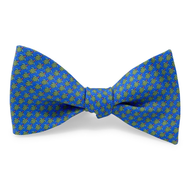 Tortuga: Bow – Blue