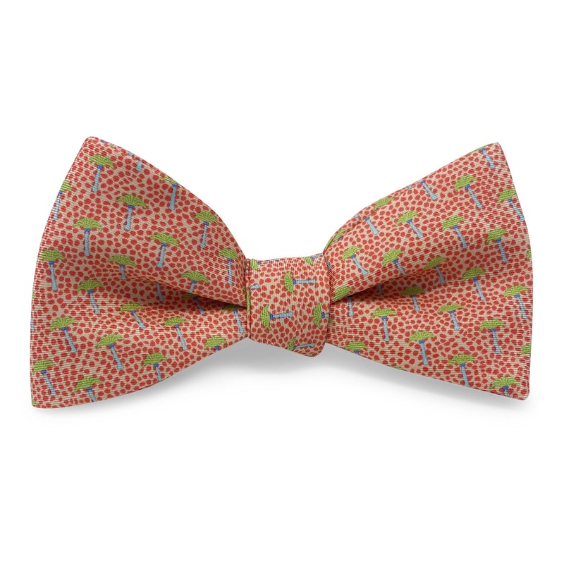 Palm Beach: Bow – Coral