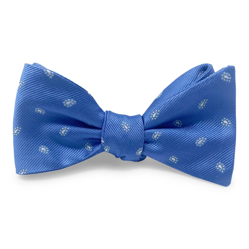 Cabo: Bow – Blue
