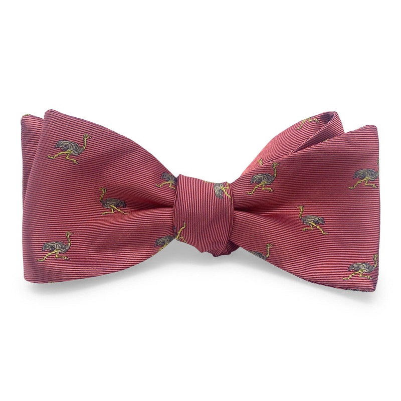 Ostrich: Bow – Pink
