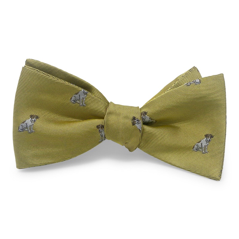 Beagle: Bow – Yellow
