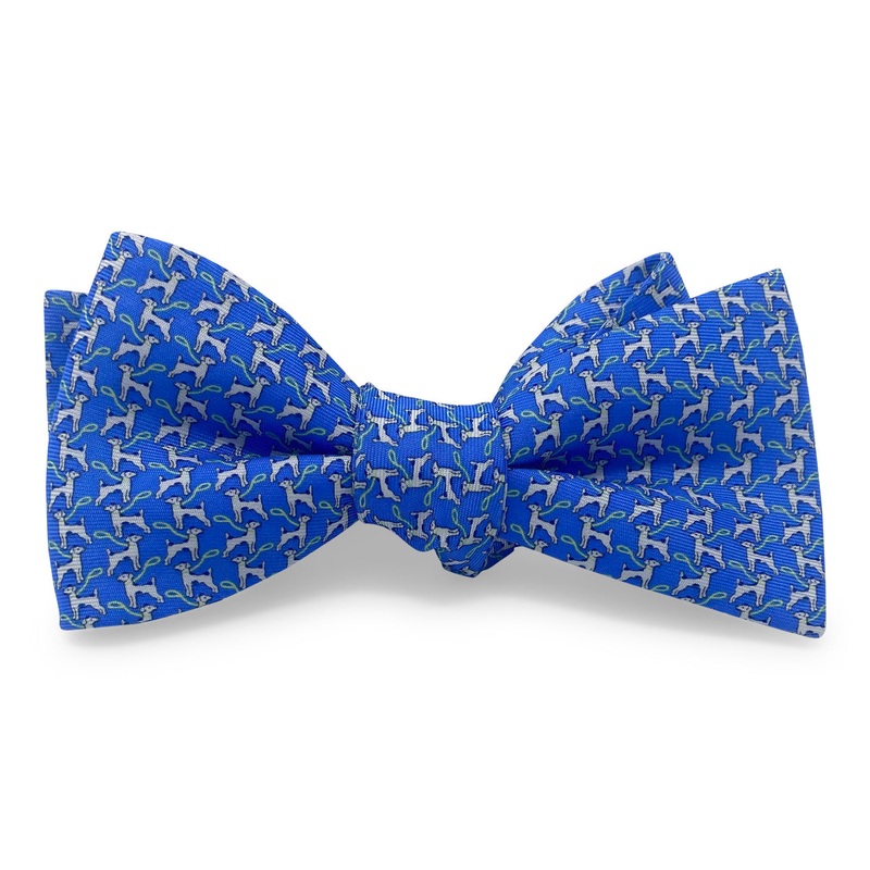 Doggie Park: Bow – Blue