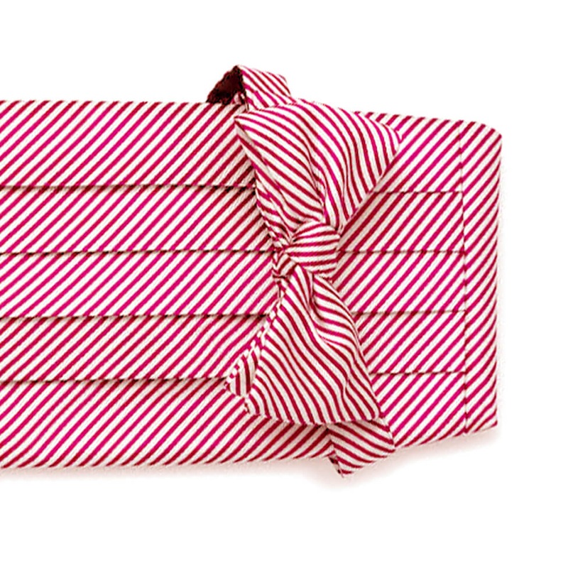Signature Stripe: Cummerbund Set – Red