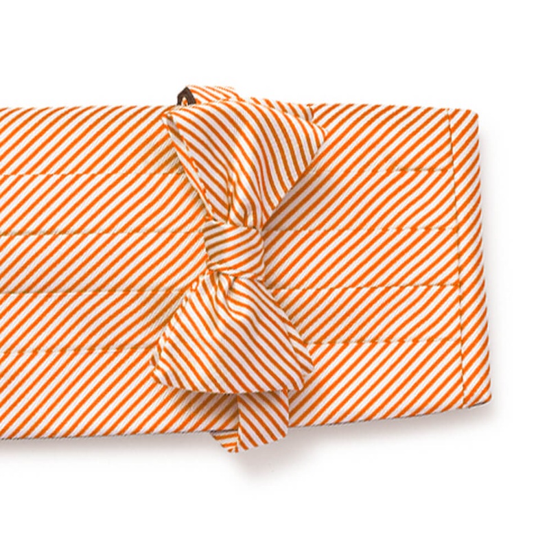Signature Stripe: Cummerbund Set – Orange