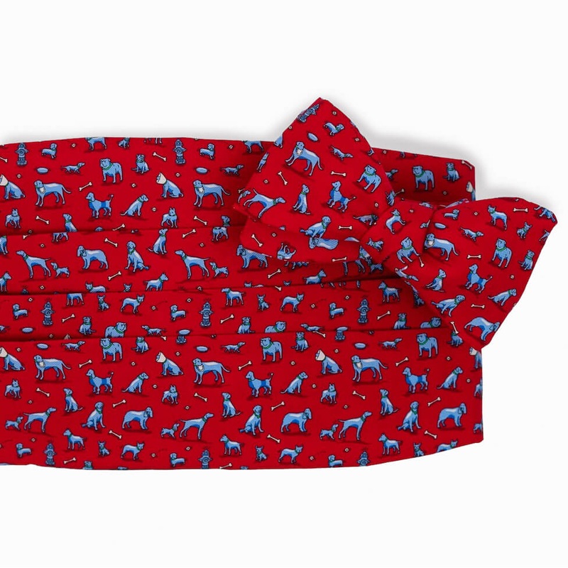 Dog Park: Cummerbund Set – Red