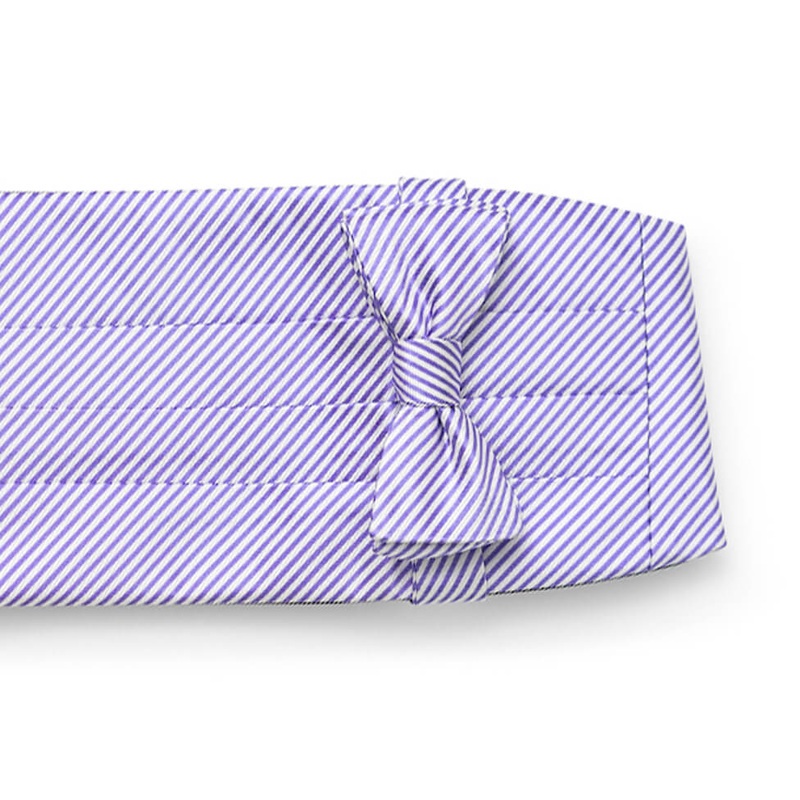 Signature Stripe: Cummerbund Set – Purple