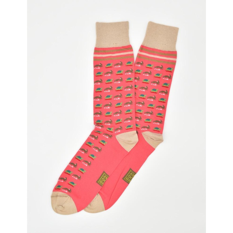 Tortoise & Hare: Socks – Coral