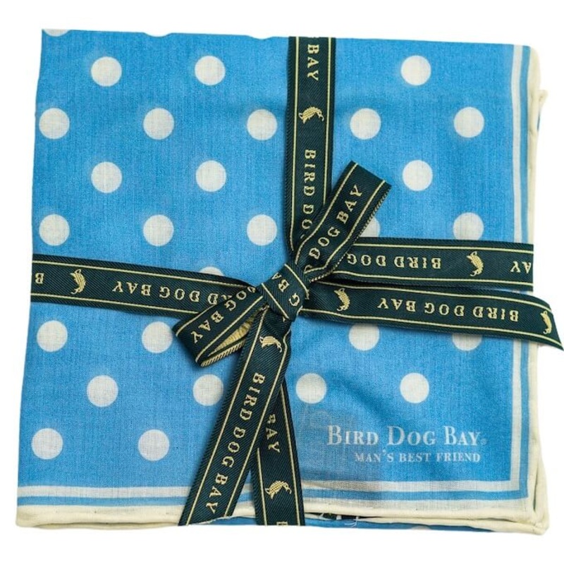 Classic Spots: Cotton Pocket Square – Blue