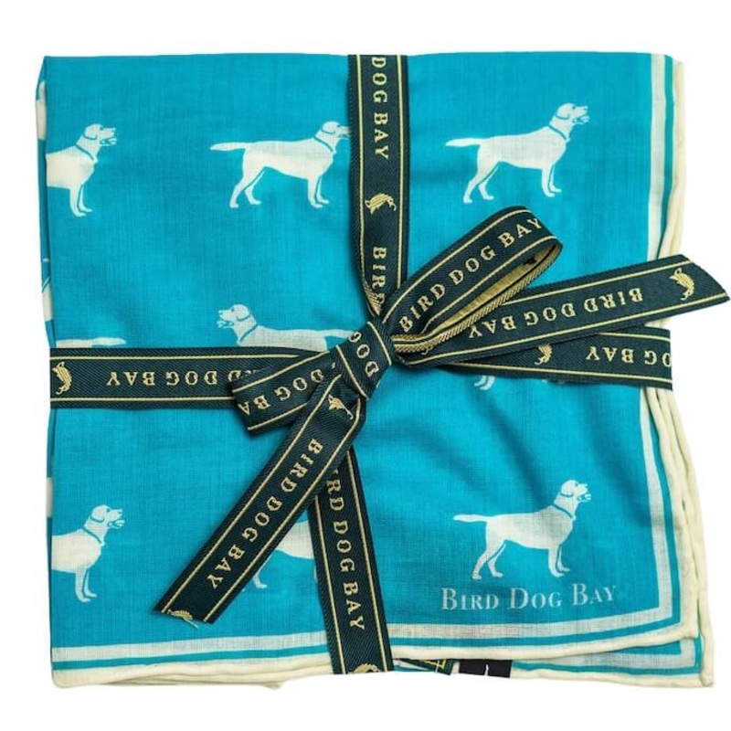 Lab Life: Cotton Pocket Square – Blue