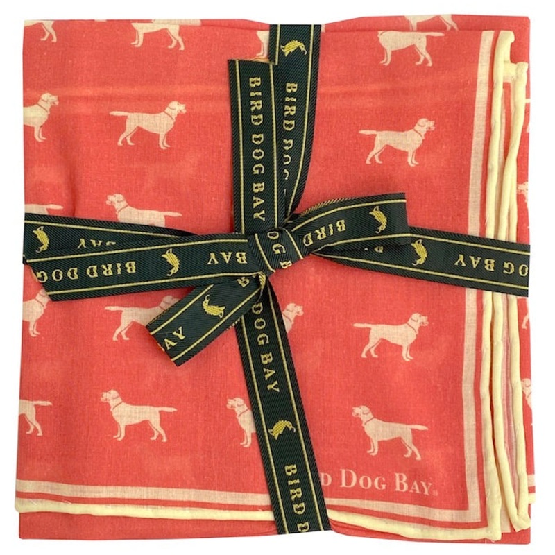Lab Life: Cotton Pocket Square – Coral