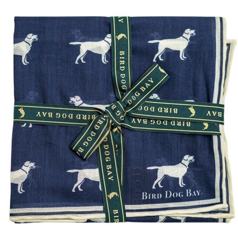 Lab Life: Cotton Pocket Square – Navy