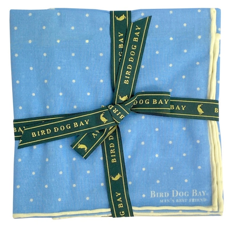 Pinpoint: Cotton Pocket Square – Light Blue
