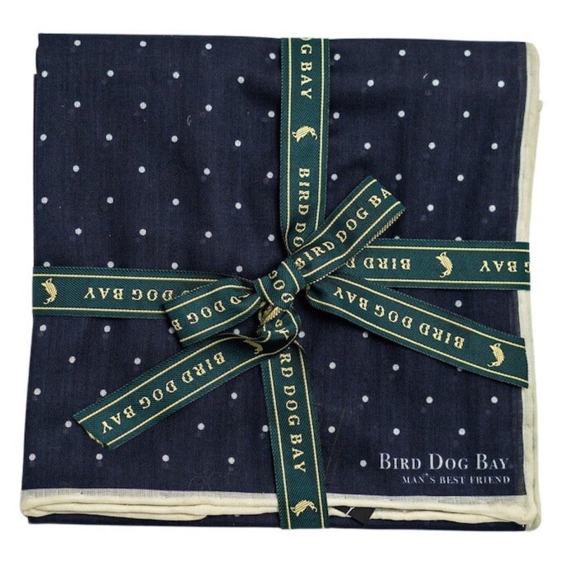 Pinpoint: Cotton Pocket Square – Navy