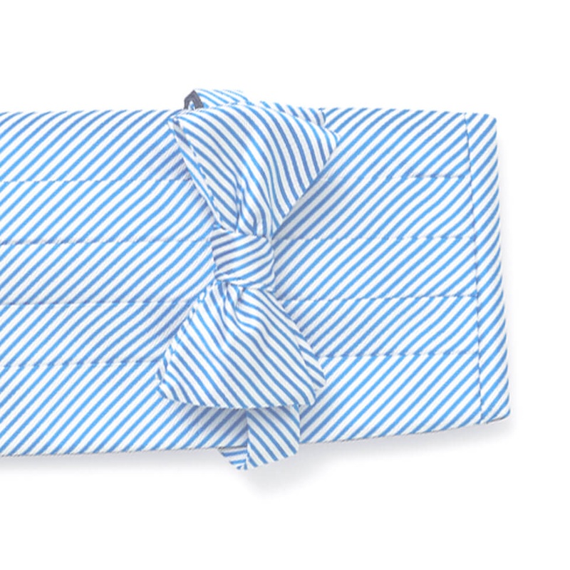 Signature Stripe: Cummerbund Set – Carolina