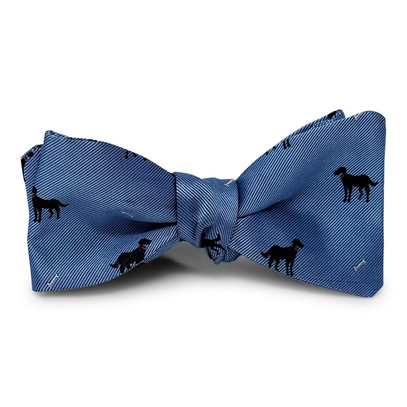 Black Lab: Bow – Light Blue