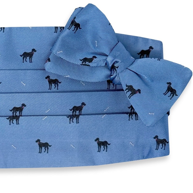 Black Lab: Cummerbund Set – Light Blue