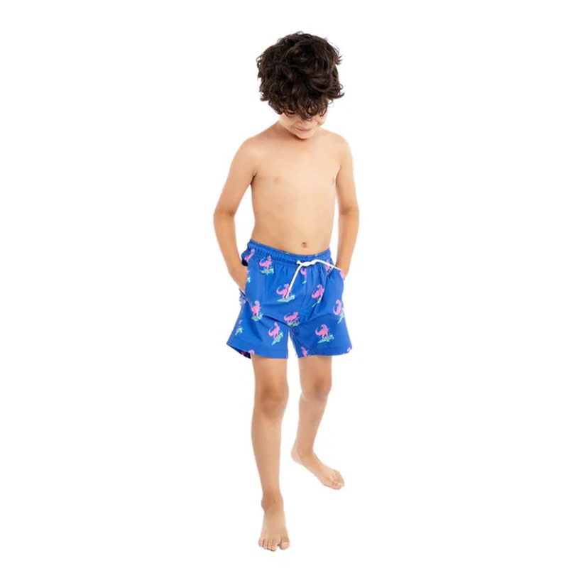 Youth Jurassic Lined Swim Shorts