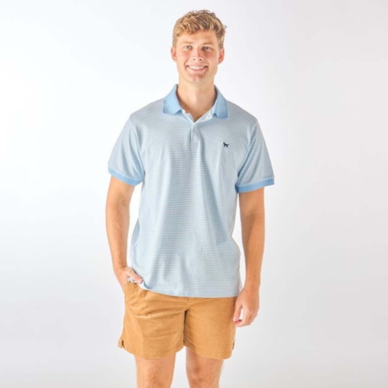 Striped Men’s Short Sleeve Polo in Light Blue and White
