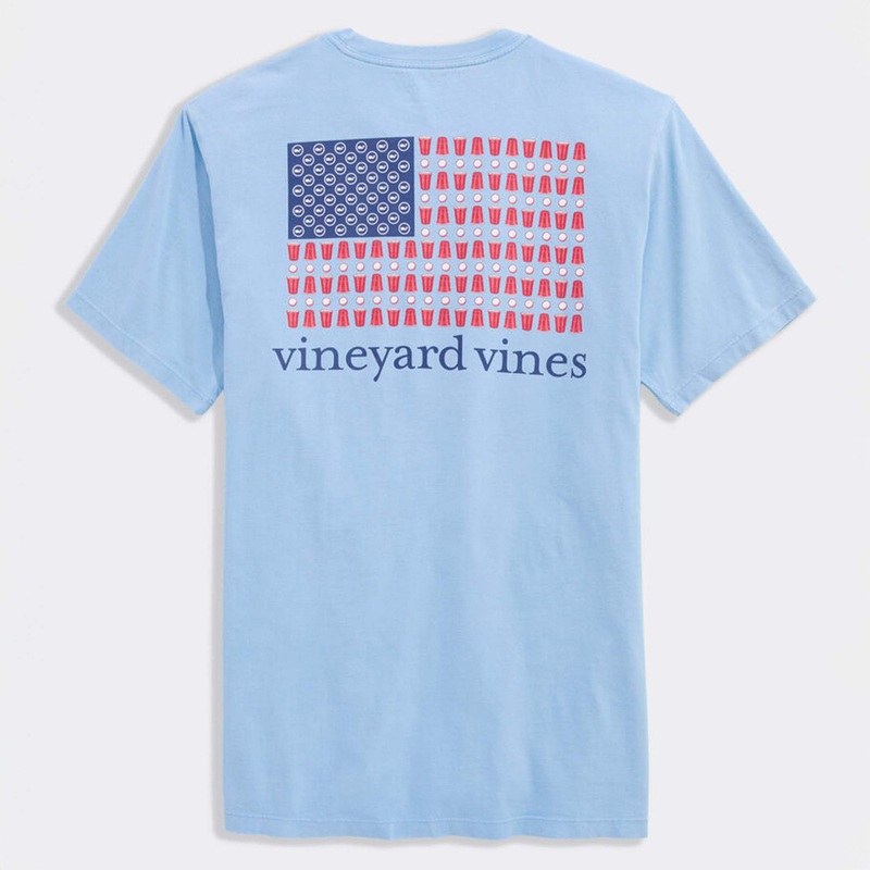 Party In The USA Short Sleeve T-Shirt In Jake Blue