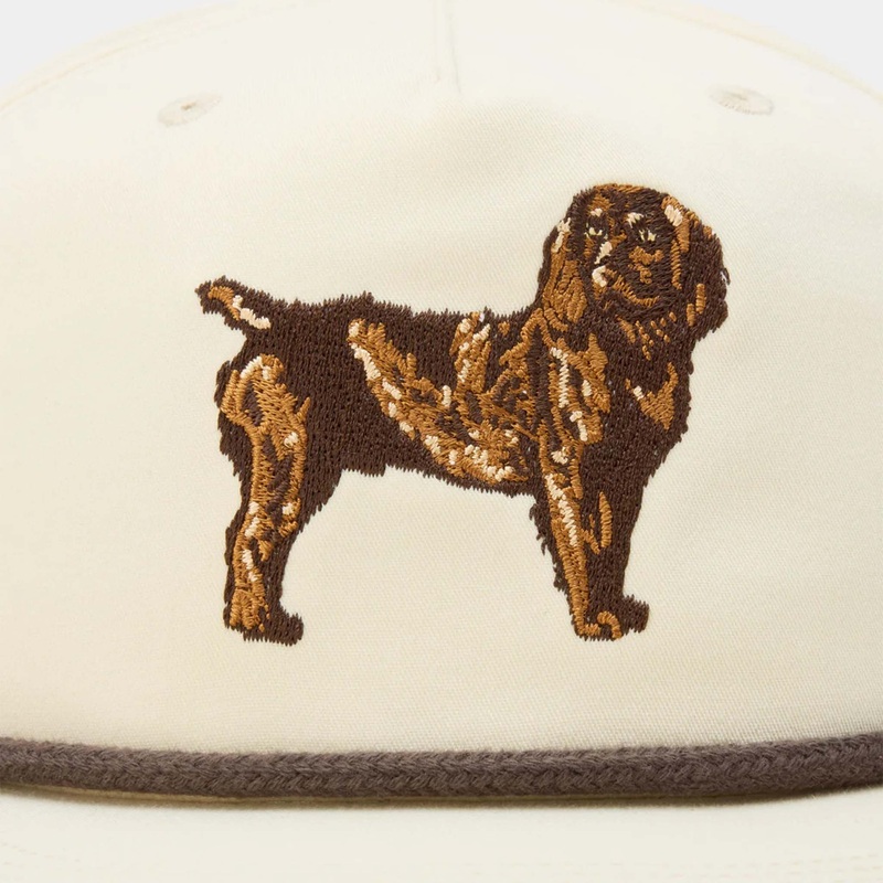Boykin Spaniel Grandpa Hat