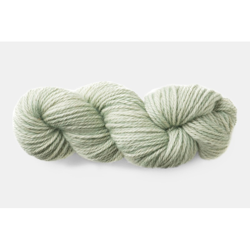 Lichen|Aran