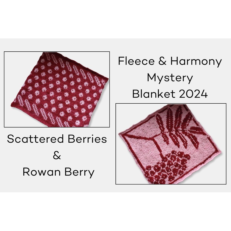 Fleece and Harmony Blanket 2024 February