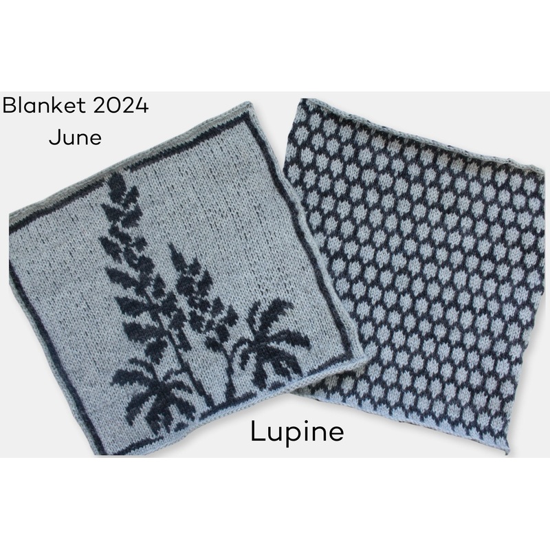 Fleece and Harmony Blanket 2024 June