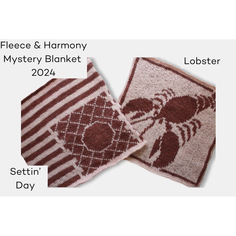 Fleece and Harmony Blanket 2024 May