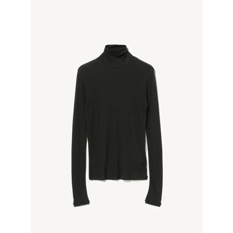Demi Turtleneck Sheer Top|Black|One Size