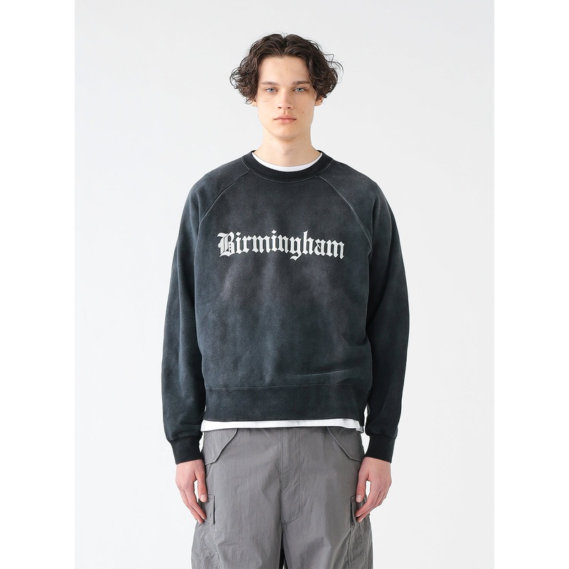 Fade Print Crewneck Sweatshirt